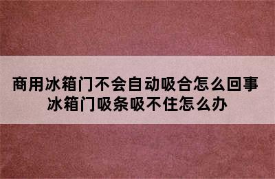 商用冰箱门不会自动吸合怎么回事 冰箱门吸条吸不住怎么办